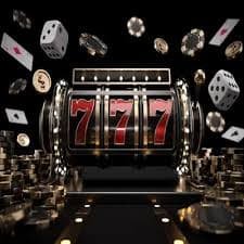 877bd